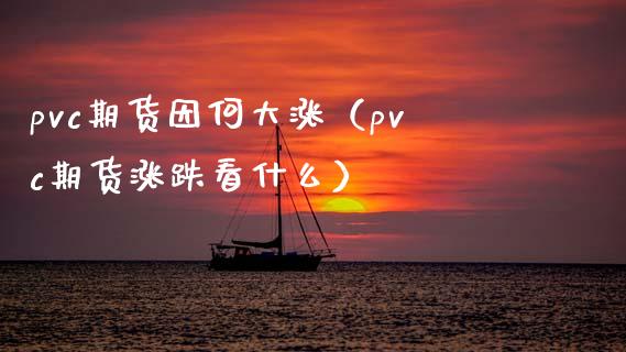 pvc期货因何大涨（pvc期货涨跌看什么）