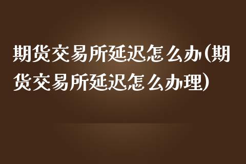 期货交易所延迟怎么办(期货交易所延迟怎么办理)