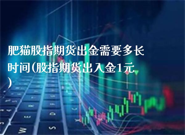 肥猫股指期货出金需要多长时间(股指期货出入金1元)_https://www.boyangwujin.com_原油期货_第1张