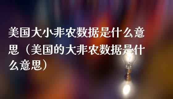 美国大小非农数据是什么意思（美国的大非农数据是什么意思）