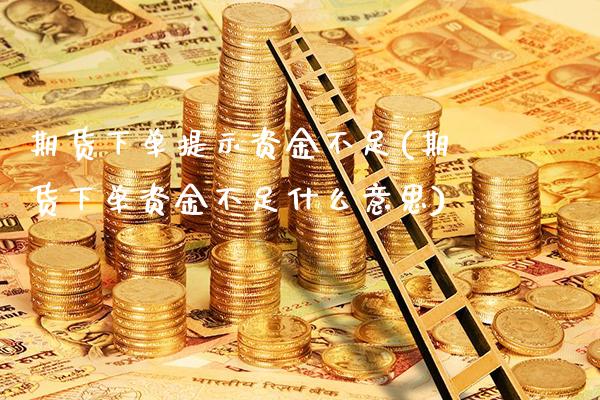 期货下单提示资金不足(期货下单资金不足什么意思)_https://www.boyangwujin.com_白银期货_第1张