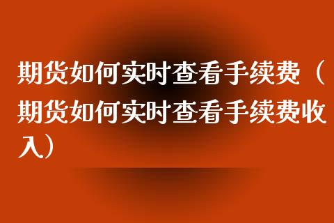 期货如何实时查看手续费（期货如何实时查看手续费收入）