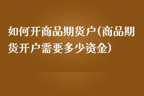 如何开商品期货户(商品期货开户需要多少资金)