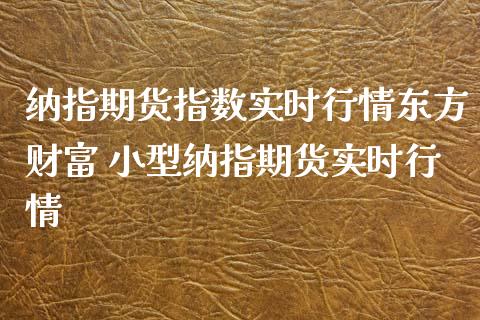 纳指期货指数实时行情东方财富 小型纳指期货实时行情