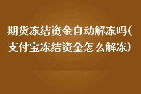 期货冻结资金自动解冻吗(支付宝冻结资金怎么解冻)