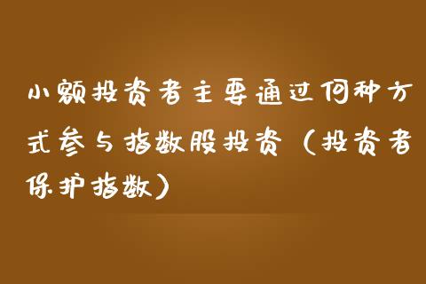 小额投资者主要通过何种方式参与指数股投资（投资者保护指数）