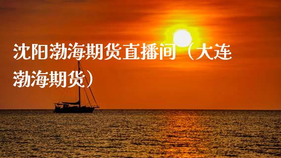 沈阳渤海期货直播间（大连渤海期货）