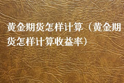 黄金期货怎样计算（黄金期货怎样计算收益率）_https://www.boyangwujin.com_原油期货_第1张