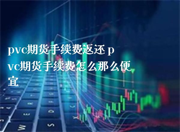 pvc期货手续费返还 pvc期货手续费怎么那么便宜