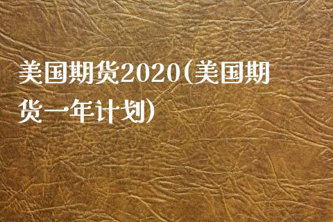 美国期货2020(美国期货一年计划)