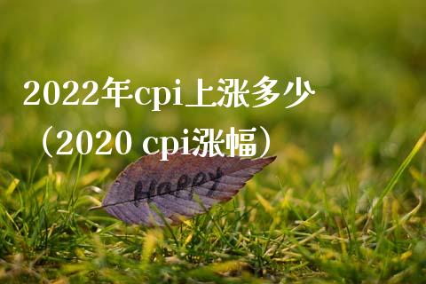 2022年cpi上涨多少（2020 cpi涨幅）