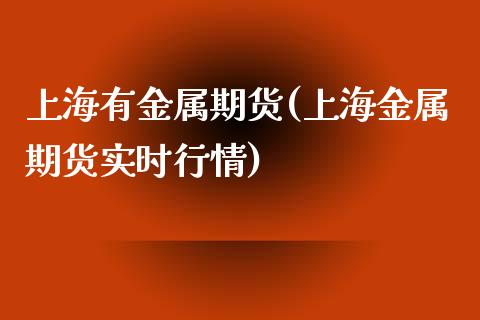 上海有金属期货(上海金属期货实时行情)