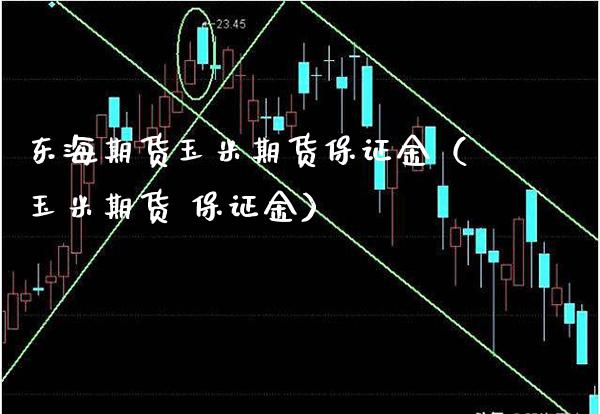 东海期货玉米期货保证金（玉米期货 保证金）