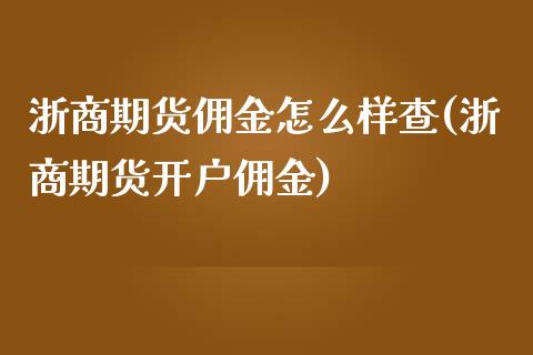 浙商期货佣金怎么样查(浙商期货开户佣金)