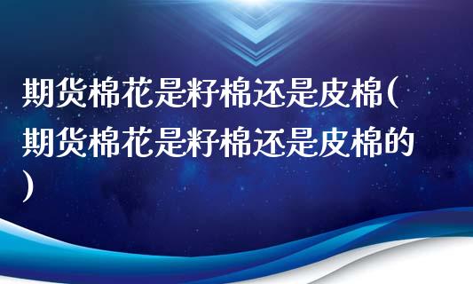 期货棉花是籽棉还是皮棉(期货棉花是籽棉还是皮棉的)_https://www.boyangwujin.com_原油期货_第1张