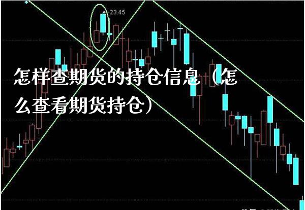 怎样查期货的持仓信息（怎么查看期货持仓）