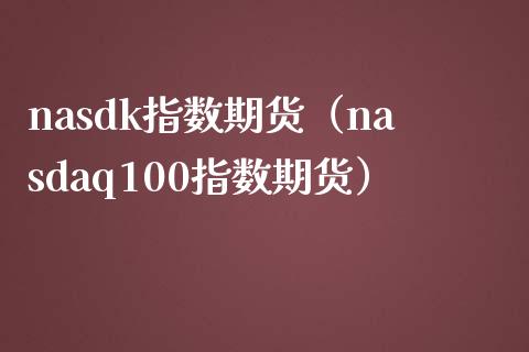 nasdk指数期货（nasdaq100指数期货）