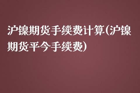 沪镍期货手续费计算(沪镍期货平今手续费)