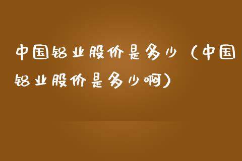 中国铝业股价是多少（中国铝业股价是多少啊）