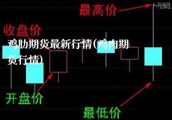 鸡肋期货最新行情(鸡肉期货行情)