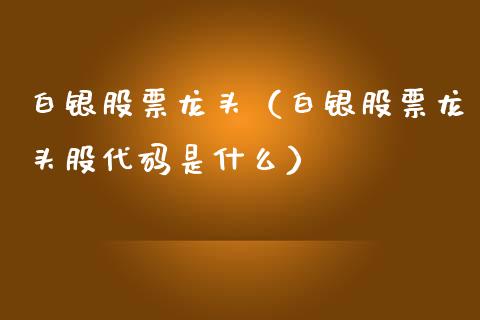 白银股票龙头（白银股票龙头股代码是什么）_https://www.boyangwujin.com_白银期货_第1张