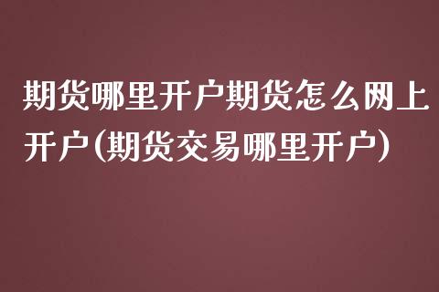 期货哪里开户期货怎么网上开户(期货交易哪里开户)