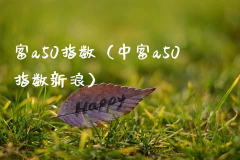 富a50指数（中富a50指数新浪）_https://www.boyangwujin.com_期货直播间_第1张