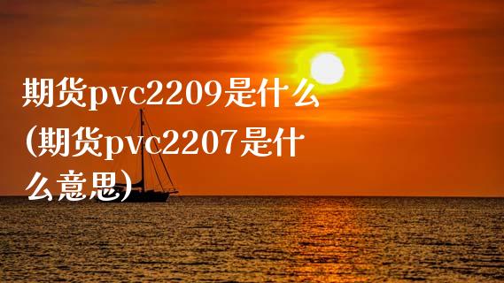 期货pvc2209是什么(期货pvc2207是什么意思)