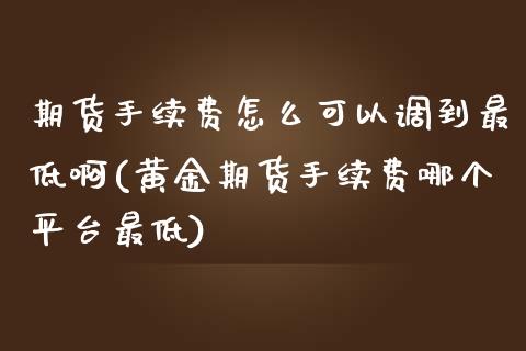 期货手续费怎么可以调到最低啊(黄金期货手续费哪个平台最低)