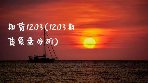 期货1203(1203期货复盘分析)