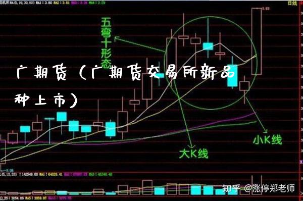 广期货（广期货交易所新品种上市）_https://www.boyangwujin.com_期货直播间_第1张