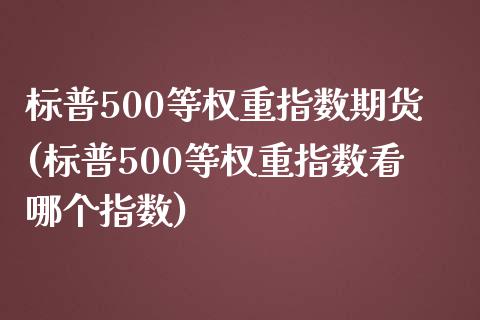 标普500等权重指数期货(标普500等权重指数看哪个指数)