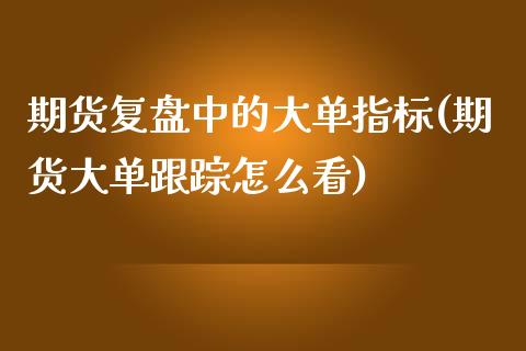 期货复盘中的大单指标(期货大单跟踪怎么看)_https://www.boyangwujin.com_原油期货_第1张