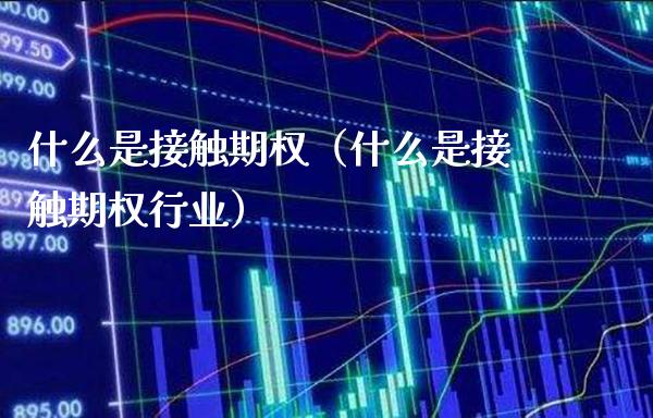 什么是接触期权（什么是接触期权行业）_https://www.boyangwujin.com_期货直播间_第1张