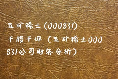 五矿稀土(000831)千股千评（五矿稀土000831公司财务分析）