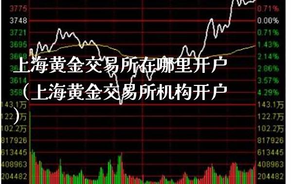 上海黄金交易所在哪里开户（上海黄金交易所机构开户）_https://www.boyangwujin.com_期货直播间_第1张