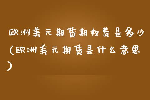 欧洲美元期货期权费是多少(欧洲美元期货是什么意思)