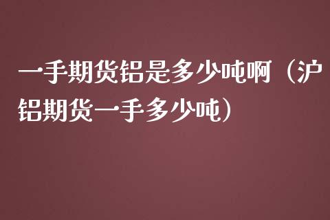 一手期货铝是多少吨啊（沪铝期货一手多少吨）_https://www.boyangwujin.com_黄金期货_第1张