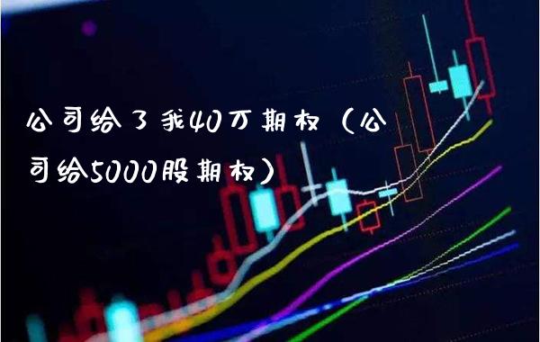 公司给了我40万期权（公司给5000股期权）