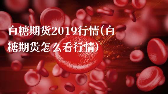 白糖期货2019行情(白糖期货怎么看行情)