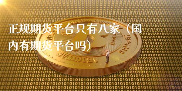 正规期货平台只有八家（国内有期货平台吗）_https://www.boyangwujin.com_纳指期货_第1张