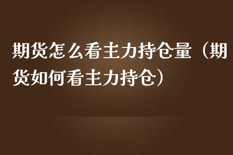 期货怎么看主力持仓量（期货如何看主力持仓）