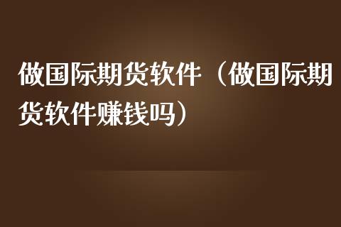 做国际期货软件（做国际期货软件赚钱吗）