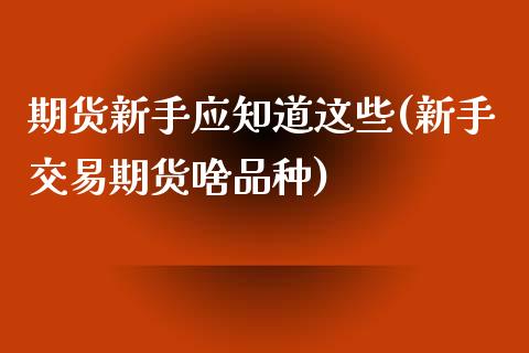 期货新手应知道这些(新手交易期货啥品种)