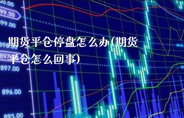 期货平仓停盘怎么办(期货平仓怎么回事)_https://www.boyangwujin.com_白银期货_第1张