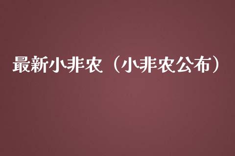 最新小非农（小非农公布）