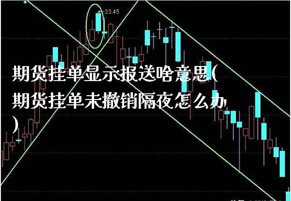 期货挂单显示报送啥意思(期货挂单未撤销隔夜怎么办)