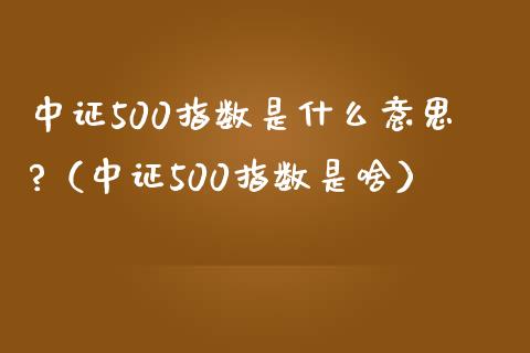 中证500指数是什么意思?（中证500指数是啥）