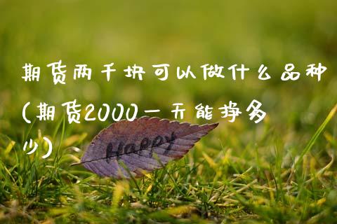 期货两千块可以做什么品种(期货2000一天能挣多少)