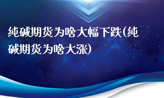 纯碱期货为啥大幅下跌(纯碱期货为啥大涨)_https://www.boyangwujin.com_黄金期货_第1张